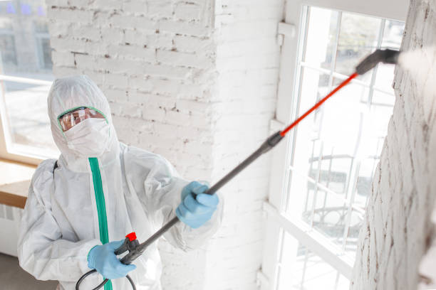 Biohazard Mold Removal in Superior, NE