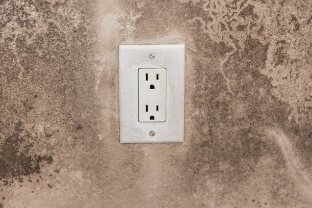 Best Post-Construction Mold Inspection  in Superior, NE