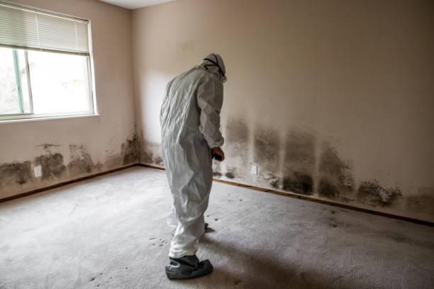 Best Forensic Mold Investigation  in Superior, NE