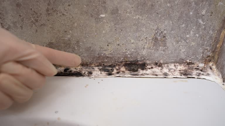 Forensic Mold Investigation in Superior, NE